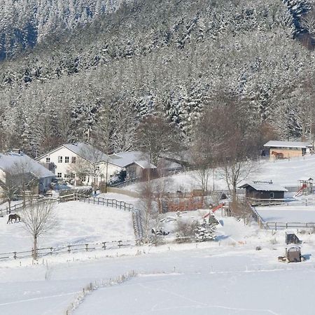 Duempelhof Ferienwohnungen Olsberg Bagian luar foto