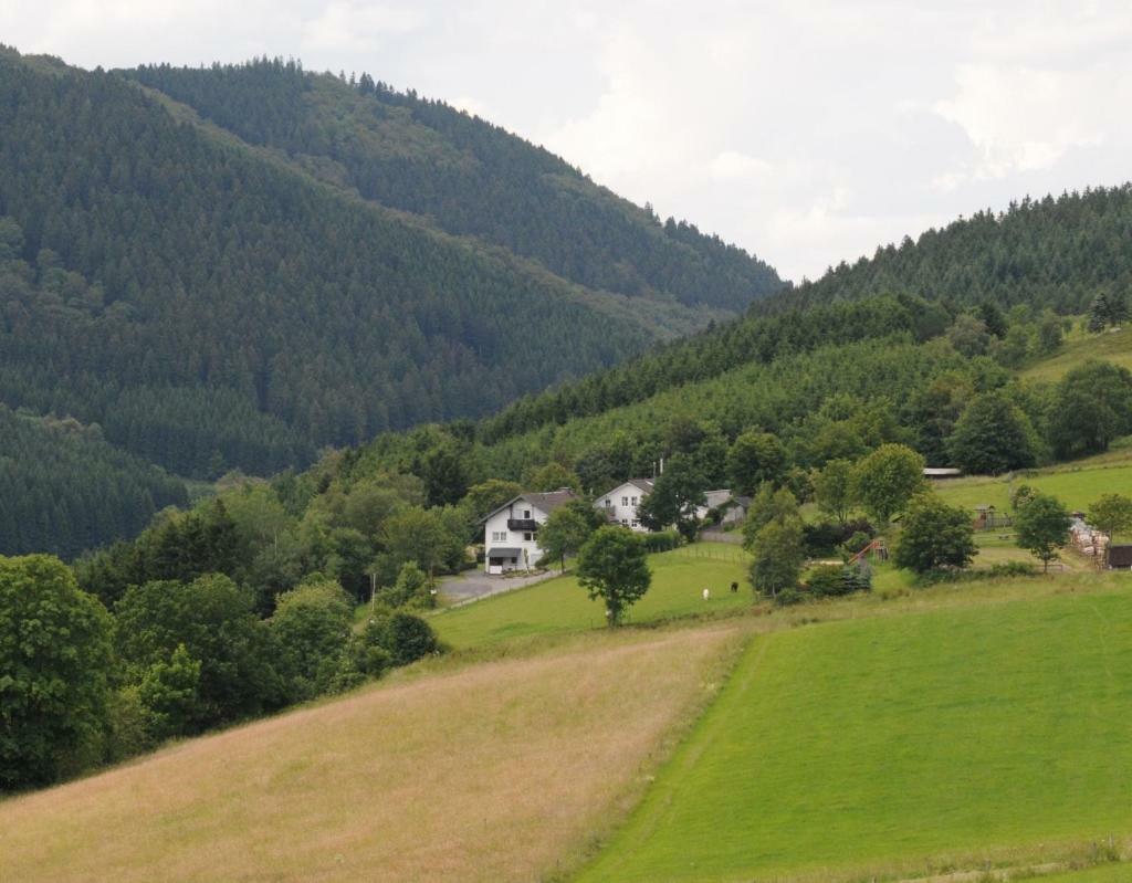 Duempelhof Ferienwohnungen Olsberg Bagian luar foto