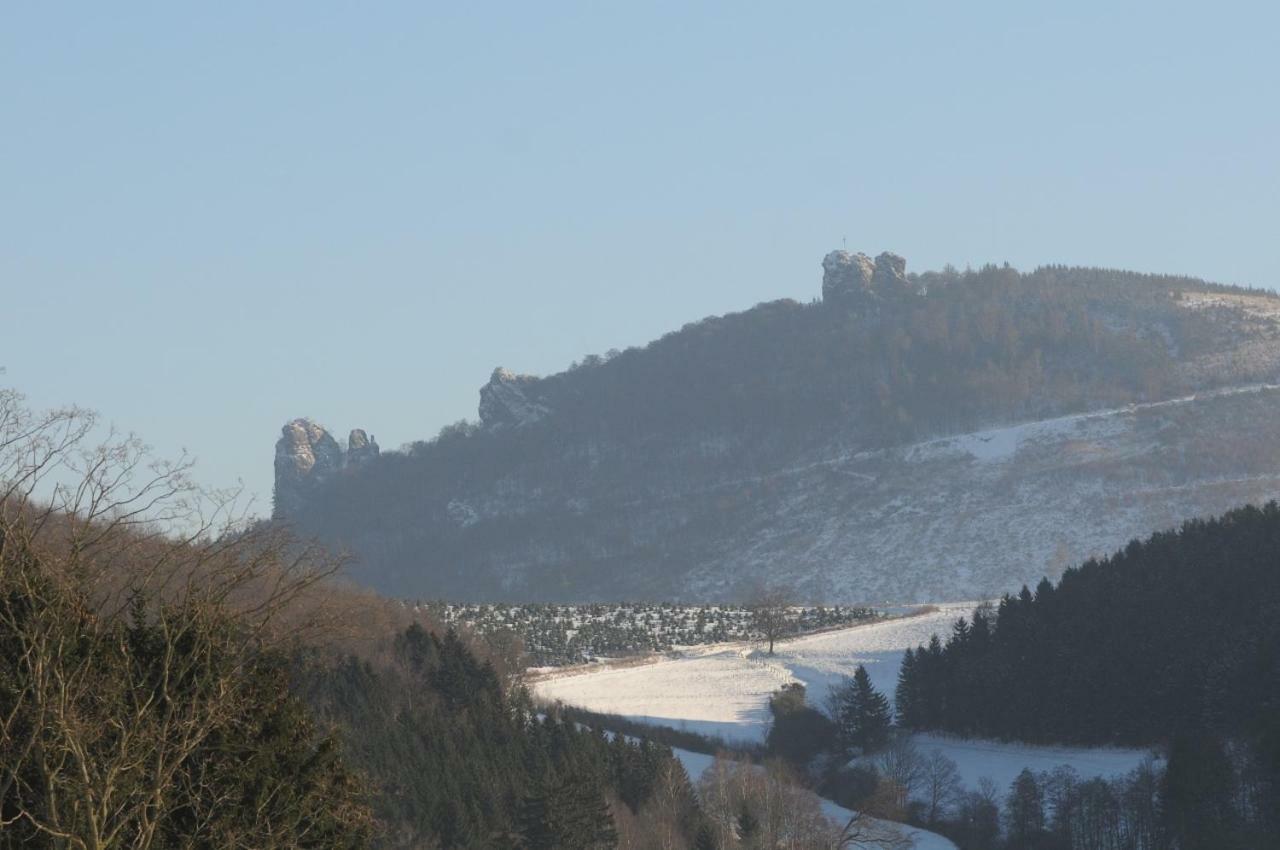 Duempelhof Ferienwohnungen Olsberg Bagian luar foto