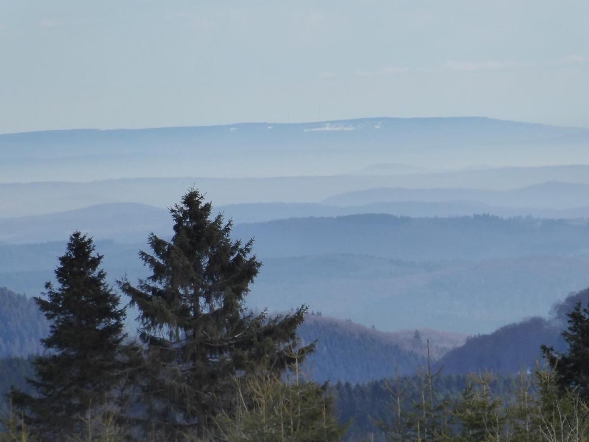 Duempelhof Ferienwohnungen Olsberg Bagian luar foto